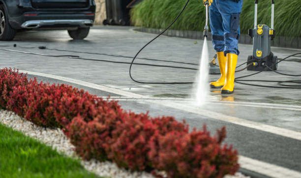 Professional Pressure Washing Services in Elsmere, DE